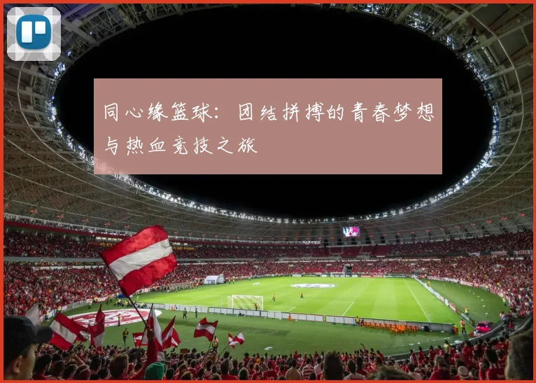 同心缘篮球：团结拼搏的青春梦想与热血竞技之旅