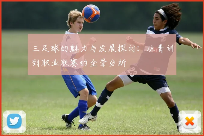 三足球的魅力与发展探讨：从青训到职业联赛的全景分析